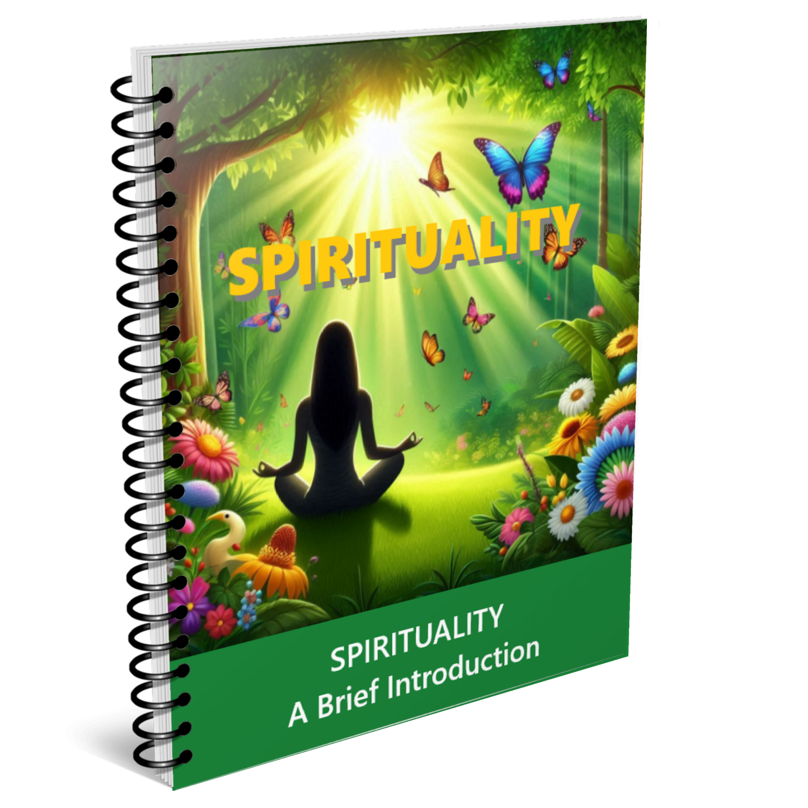 Spirituality: A Brief Introduction